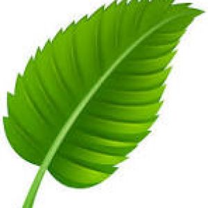Green Procurement